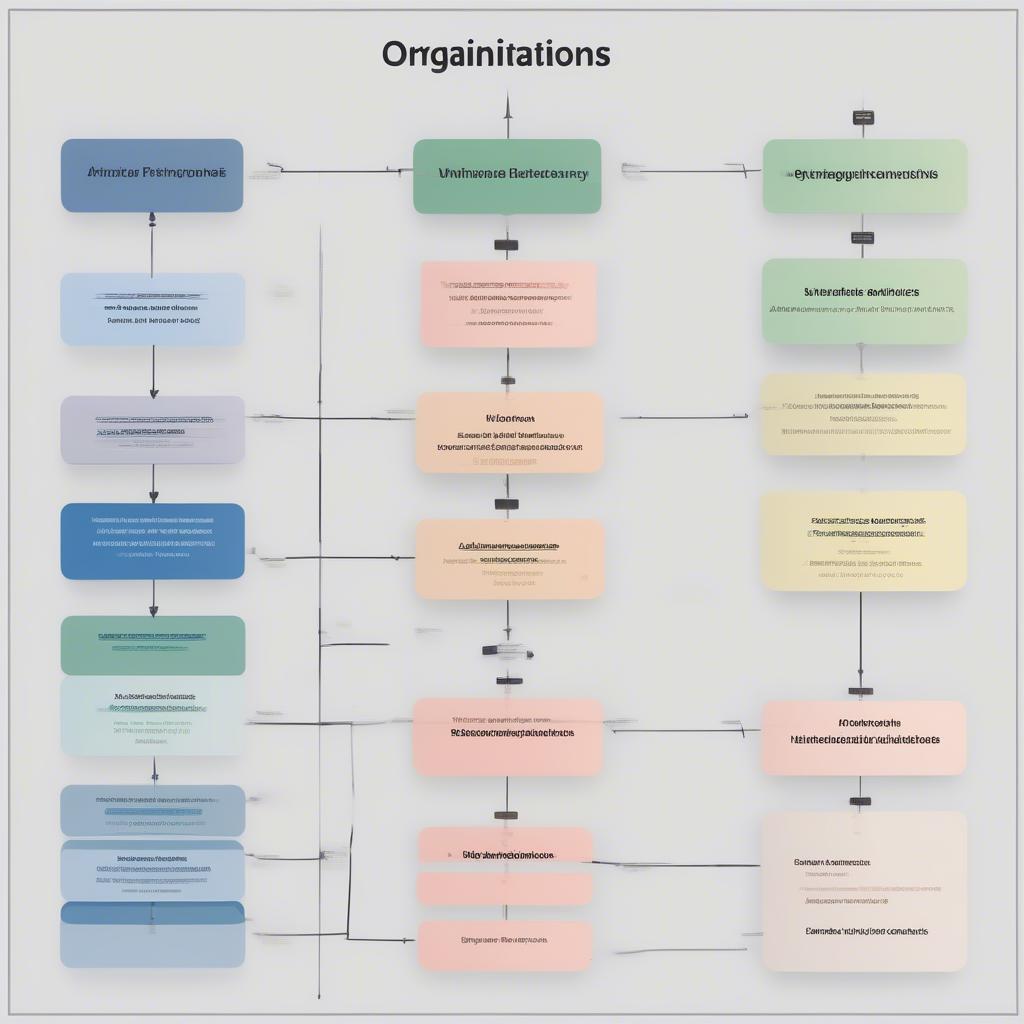 Different Organizational Structures